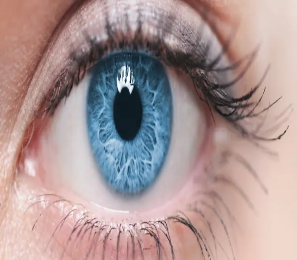 Etapes de la prise en charge en chirurgie refractive